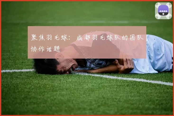 聚焦羽毛球：成都羽毛球队的团队协作话题