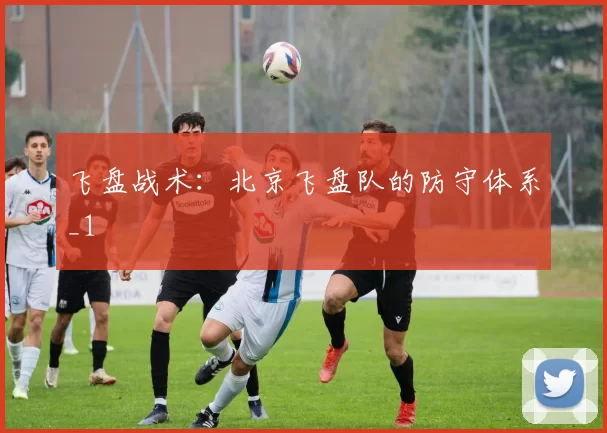 飞盘战术：北京飞盘队的防守体系_1
