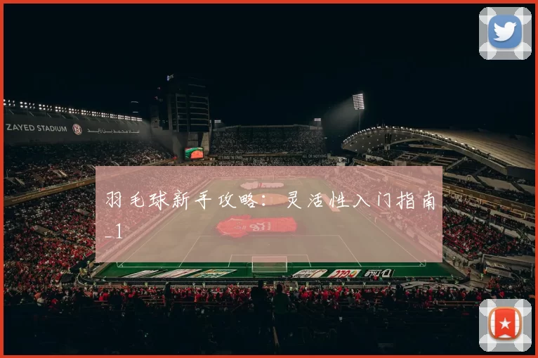 羽毛球新手攻略：灵活性入门指南_1