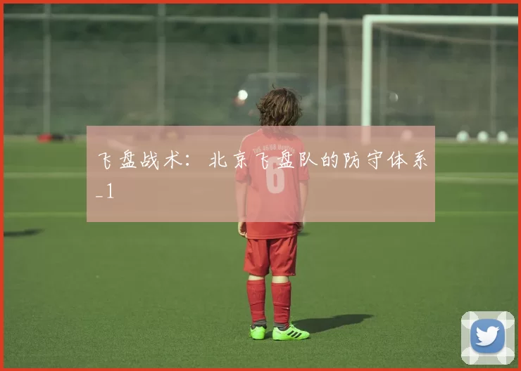 飞盘战术：北京飞盘队的防守体系_1