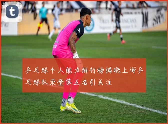 乒乓球个人能力排行榜揭晓上海乒乓球队荣登第五名引关注