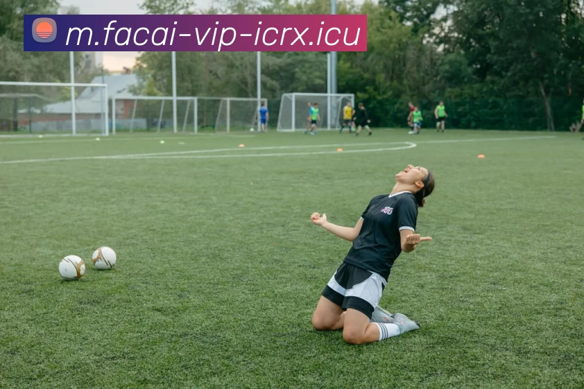 星空体育APP 封面图